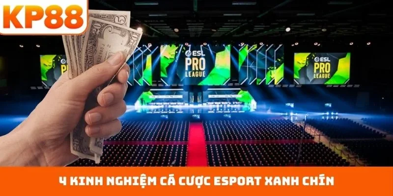 4 kinh nghiệm cá cược esport xanh chín