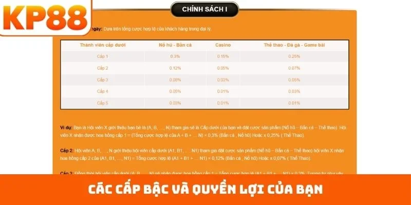 Các cấp bậc và quyền lợi của bạn
