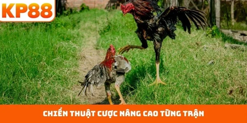 Chiến thuật cược nâng cao từng trận
