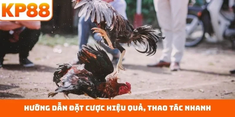 Hướng dẫn đặt cược hiệu quả, thao tác nhanh