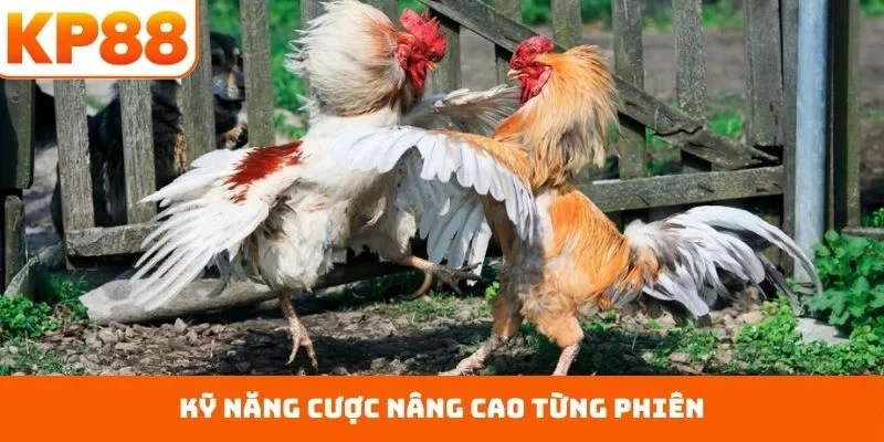 Đá Gà Cửa Dao – Chuẩn Mực An Toàn, Nắm Bắt Kèo Thơm 2 Kỹ năng cược nâng cao từng phiên