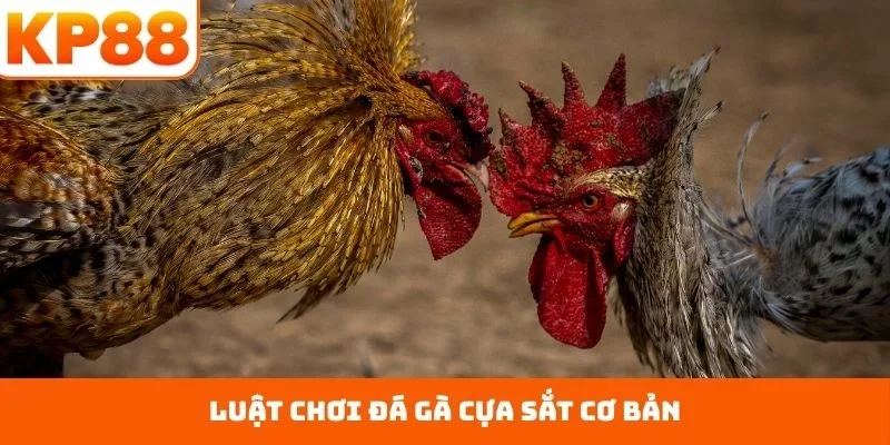 Luật chơi đá gà cựa sắt cơ bản